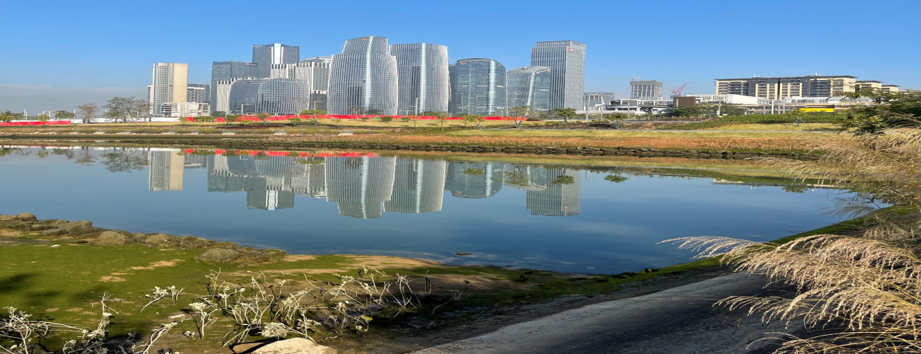 前海桂灣公園綠化工程（在建）